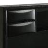 Briana Wood Queen Storage Bookcase Bed Black