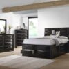Briana Wood Queen Storage Bookcase Bed Black