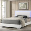 Felicity Wood Queen LED Panel Bed White High Gloss