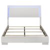 Felicity Wood Queen LED Panel Bed White High Gloss