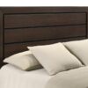 Kauffman Wood Queen Storage Panel Bed Dark Cocoa
