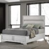 Miranda 54-inch Upholstered Queen Panel Bed White