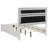 Miranda 54-inch Upholstered Queen Panel Bed White