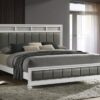 Barzini Wood Eastern King Panel Bed White