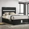 Miranda 54-inch Upholstered Full Panel Bed Black