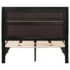 Miranda 51-inch Wood Full Storage Panel Bed Black