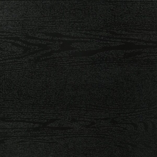 Miranda 51-inch Wood Twin Storage Panel Bed Black