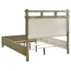 Hazlewood 61-inch Queen Panel Bed Vineyard Oak