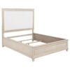 Pembroke 66-inch Queen Panel Bed Washed Oak