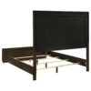 Atlas 63-inch Queen Upholstered Panel Bed Grey and Dark Oak