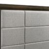 Atlas 63-inch Queen Upholstered Panel Bed Grey and Dark Oak