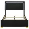 Marceline Wood Full LED Panel Bed Black