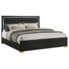 Marceline Wood Eastern King LED Panel Bed Black