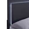 Marceline Wood Eastern King LED Panel Bed Black