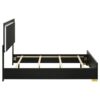 Marceline Wood Queen LED Panel Bed Black