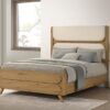 Bennett 62-inch Queen Upholstered Panel Bed Cream and Light Oak