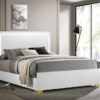 Marceline Wood Queen LED Panel Bed White