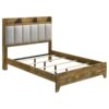 Henderson 57-inch Queen Bookcase Panel Bed Medium Oak