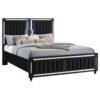 Ravenne Velvet Upholstered Eastern King LED Panel Bed Black