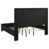 Ravenne Velvet Upholstered Eastern King LED Panel Bed Black