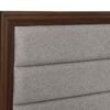 Welsley 50-inch Upholstered Queen Bed Walnut