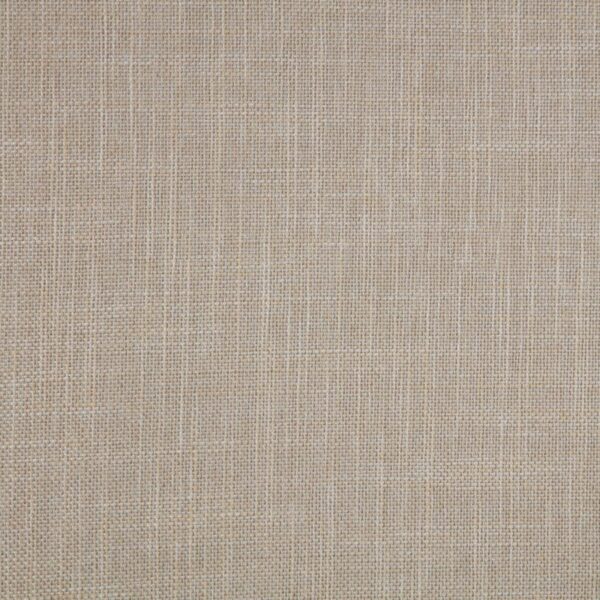 Bexhill 56-inch Upholstered Queen Panel Bed White