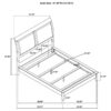 Bexhill 56-inch Upholstered Queen Panel Bed White