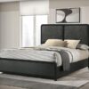 Cavelle 51-inch Upholstered Queen Panel Bed Black