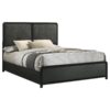 Cavelle 51-inch Upholstered Queen Panel Bed Black