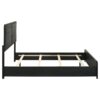Cavelle 51-inch Upholstered Queen Panel Bed Black