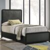 Cavelle 51-inch Upholstered Twin Panel Bed Black