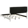 Kendall Upholstered Eastern King Panel Bed White