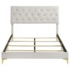 Kendall Upholstered Queen Panel Bed White