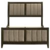 Wilkes 51-inch Upholstered Full Bed Dark Cocoa