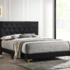 Kendall Upholstered Queen Panel Bed Black