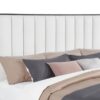 Brookmead 60-inch Upholstered Queen Bed Black