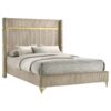 Lucia 61-inch Upholstered Queen Wingback Bed Beige