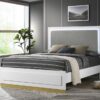 Caraway Wood Queen LED Panel Bed White