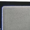 Caraway Wood Queen LED Panel Bed Black