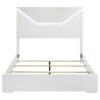 Ives Queen Panel Bed LED Headboard White High Gloss