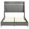 Lucia 61-inch Upholstered Queen Wingback Bed Grey
