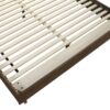 Glenwood 48-inch Queen Platform Panel Bed Warm Brown