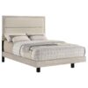 Trenton 54-inch Wood Full Panel Bed Rustic Cream