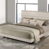 Trenton 54-inch Wood Eastern King Panel Bed Rustic Cream