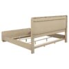 Ladera 56-inch Eastern King Panel Bed Light Elm