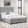 Patricia 58-inch Boucle Upholstered Queen Bed Grey