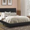 Dorian Faux Leather Upholstered Queen Panel Bed Black