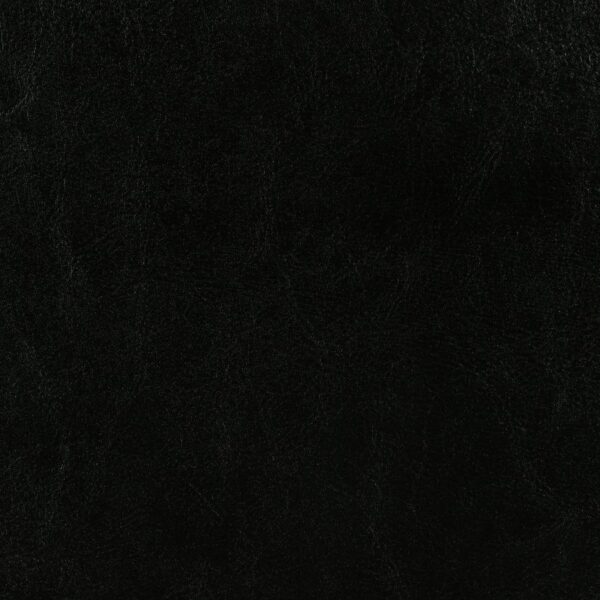 Dorian Faux Leather Upholstered Twin Panel Bed Black