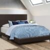 Dorian Faux Leather Upholstered Queen Panel Bed Brown