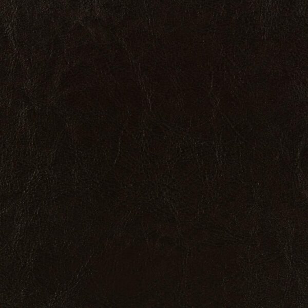 Dorian Faux Leather Upholstered Queen Panel Bed Brown